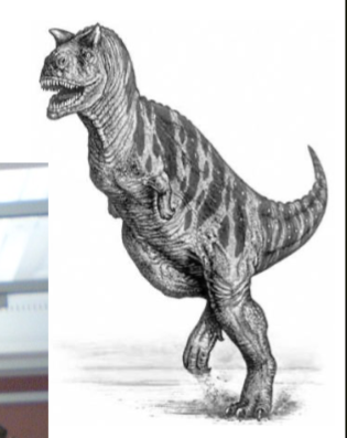 <p><span style="background-color: transparent;"><span>“horned lizard;” Jurassic and Cretaceous; a Theropod</span></span></p>