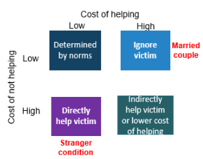 <p>describes when we are more/less likely to help in an emergency</p><ul><li><p>we are more likely to help when the costs of not helping = high and when the costs of helping = low</p></li><li><p>whether we help when both costs are low = determined by norms</p></li><li><p>we either indirectly help victim or lower the cost of helping when both costs are high</p></li></ul><p></p>