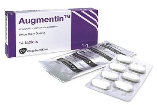 <p>Augmentin (penicillin/beta-lactamase combination antibiotic)</p>