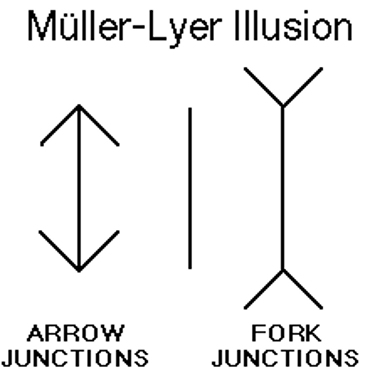 <p>A famous visual illusion involving the misperception of the identical length of two lines, one with arrows pointed inward, one with arrows pointed outward. Also illustrates how perception is developed by life experiences.</p>