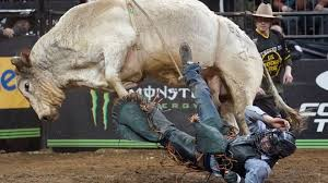 <p><strong>After being thrown off the back of a bull, the bull rider can move his arms but has loss of motor function in the lumbar and sacral segments of the spinal cord. This is usually referred to as</strong></p><p>A) tetraplegia.</p><p>B) quadriplegia.</p><p>C) paraplegia.</p><p>D) anterior cord</p><p>syndrome. </p>