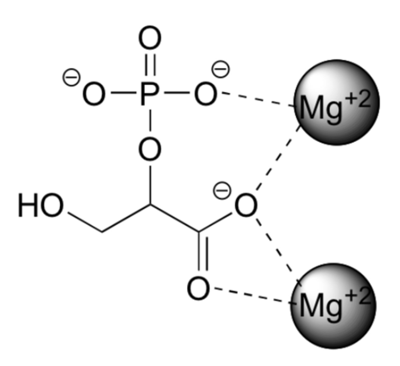<p>ion - dipole interactions</p>