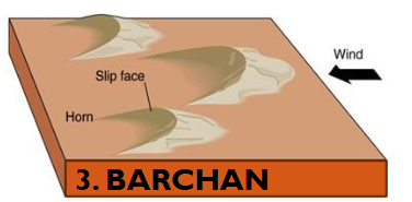 <ul><li><p>Horns point downwind</p></li><li><p>Limited supply of sand</p></li><li><p>Absence of vegetation</p></li><li><p>Persistent winds; consistent direction</p><p></p></li></ul><p></p>