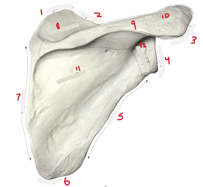 <p>4</p>