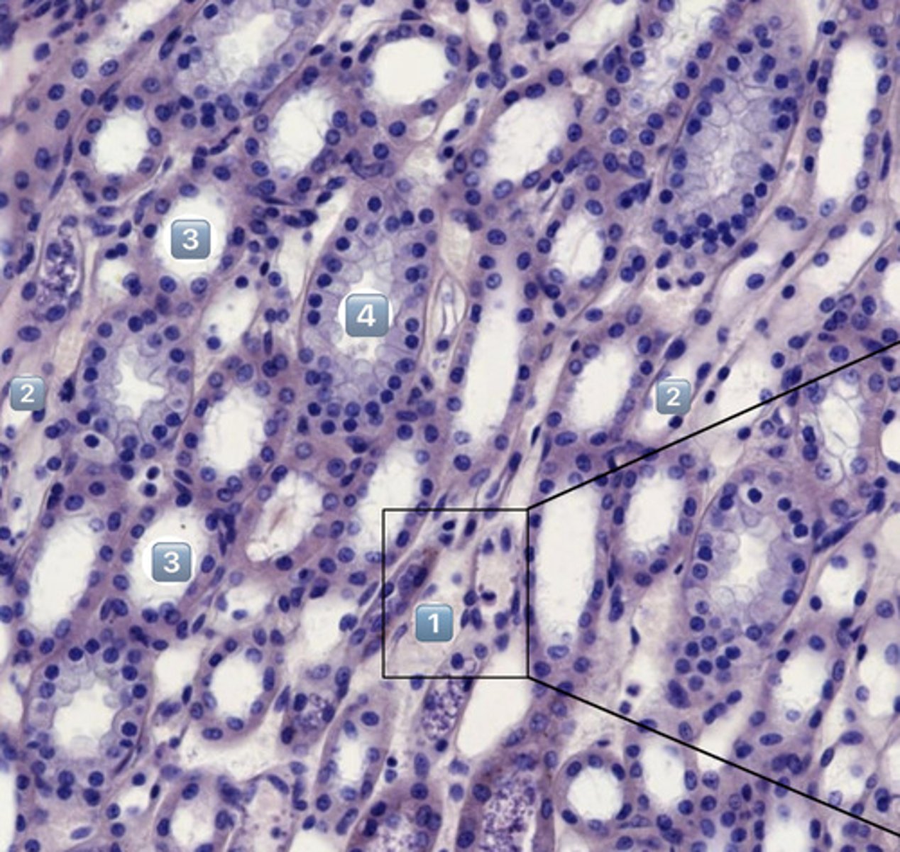 <p>2</p>