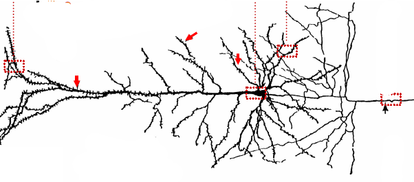 knowt flashcard image
