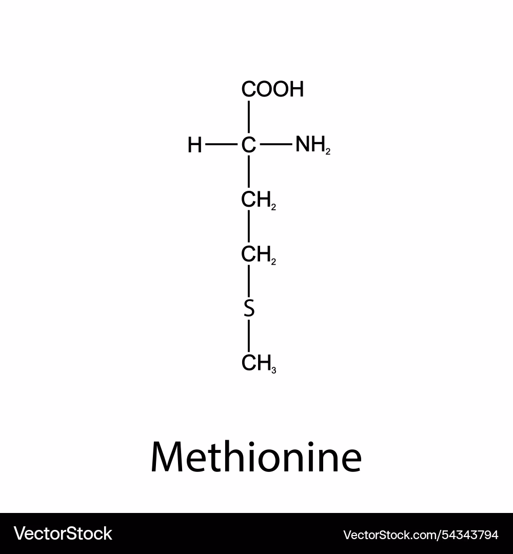 <p>Met, M, non polar</p>