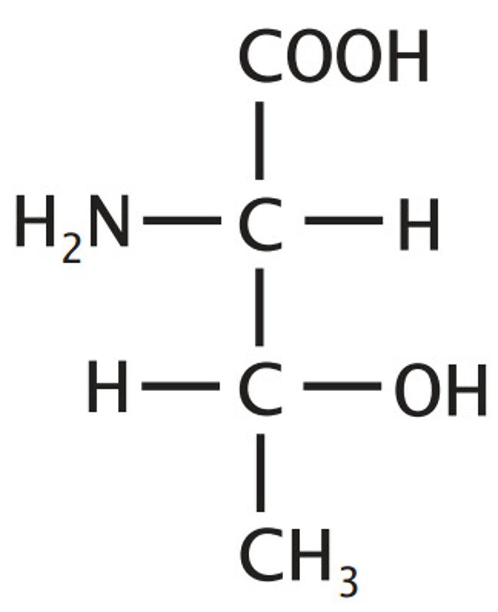 <p>Aliphatic, polar, hydrophilic</p><p>R: stable C with methyl, hydroxyl, and hydrogen</p>
