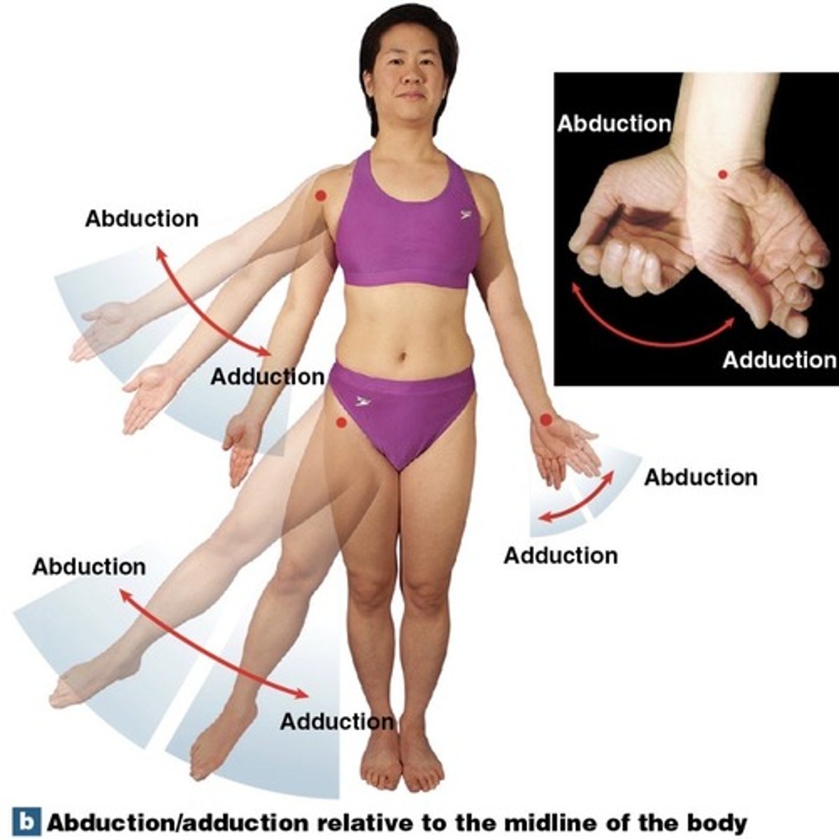 <p>movement away from the midline</p>