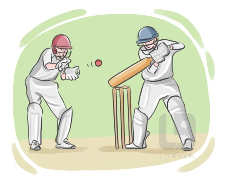<p>play cricket</p>