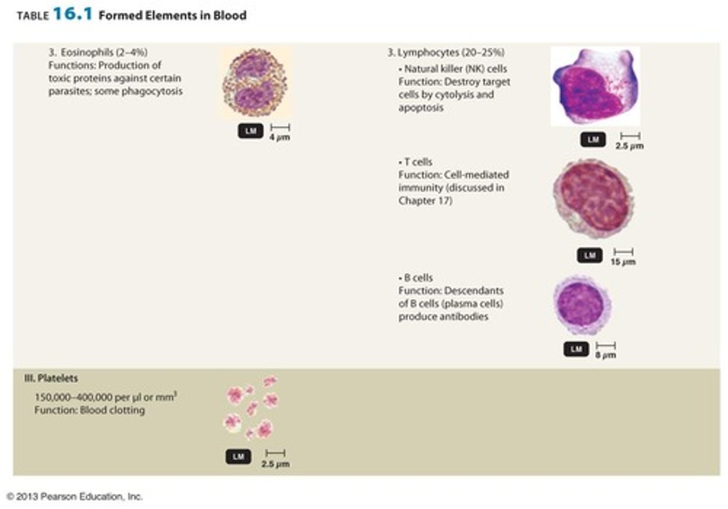 <p>White blood cells</p>