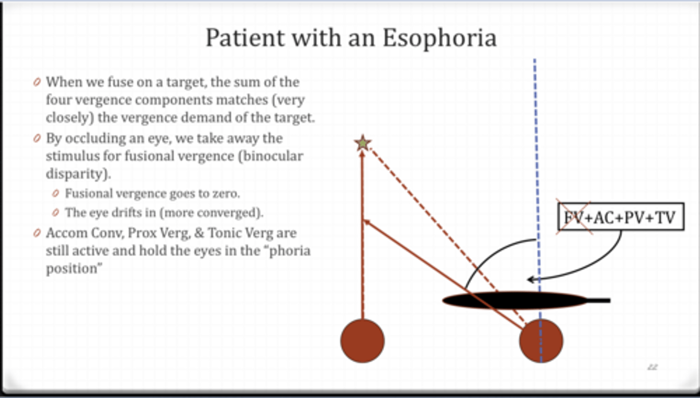 <p>Patient with an ESOphoria Example</p><p>What does a phoria that we measure tell us?</p>