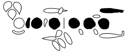 <p>F</p>