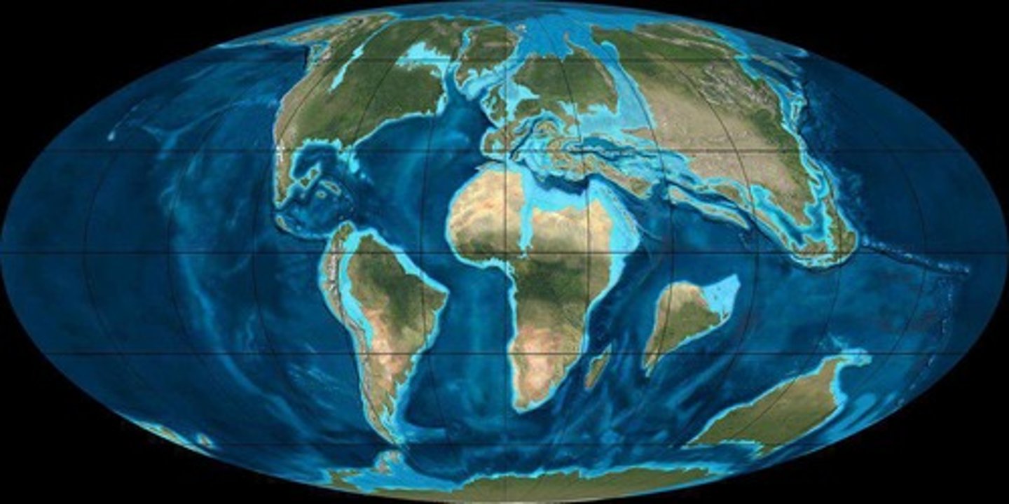 <p>Pangaea began to break apart, leading to rising sea levels and the formation of inland seas.</p>