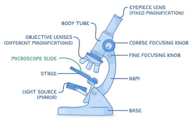 knowt flashcard image