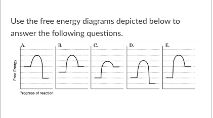 <p>T/F: The reaction depicted in free energy diagram C could be coupled to the reaction depicted in free energy diagram D to produce an exergonic reaction.</p>