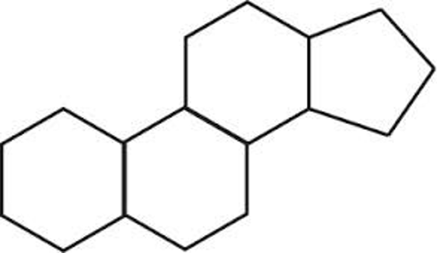 <p>class of lipids with 4 rings of carbon atoms (picture is the general structure)</p>