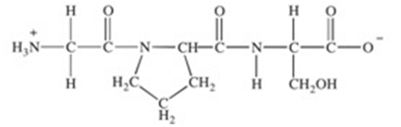 <p>Which of the statements concerning the peptide shown below is <strong><em>FALSE?</em></strong></p><ul><li><p>Its primary structure is Gly-Pro-Ser.</p></li><li><p>The carboxyl group of Pro is joined to the amino group of Ser.</p></li><li><p class="p1">The peptide contains only hydrophobic amino acid residues.</p></li></ul><ul><li><p>There are two peptide bonds.</p></li><li><p>It is a tripeptide.</p></li></ul><p></p>