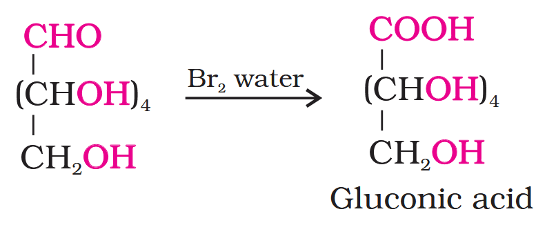 <p>Glucose gets oxidised to six carbon carboxylic acid (gluconic acid) on reaction with a mild oxidising agent like bromine water. This indicates that the carbonyl group is present as an aldehydic group.</p>