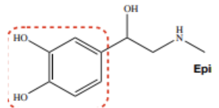 <p>cardiac stimulant; drug for obstructive airway disease</p><p>(Epix, Adrenin, Ephedrix)</p>