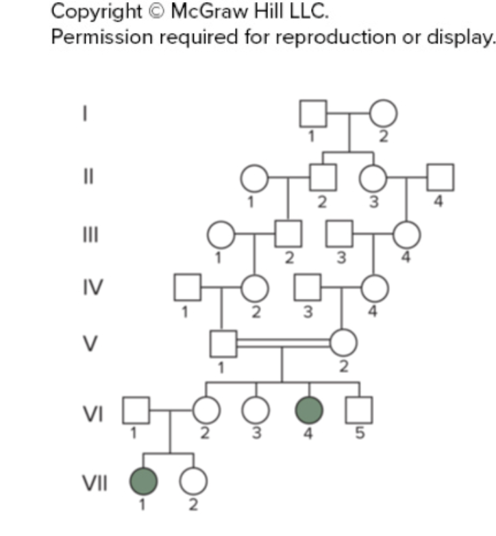 <ul><li><p>This disease is caused by a recessive allele</p></li><li><p>The two parents (v-1 and V-2) are carriers</p></li></ul><p></p>