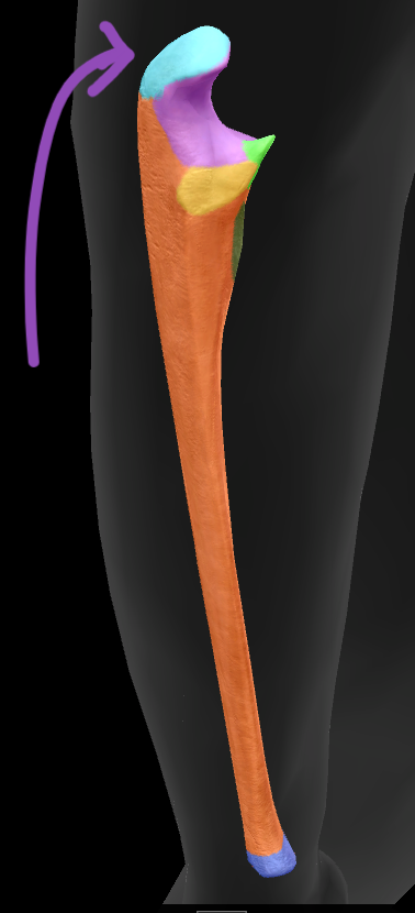 term image