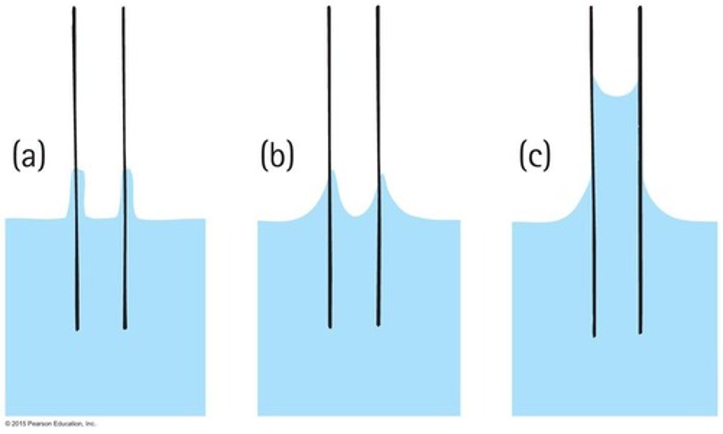 <p>The ability of a liquid to flow in narrow spaces without the assistance of external forces.</p>