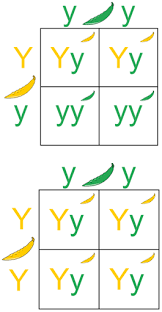 <p>test cross</p>