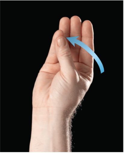 <p>to move the thumb to approach or touch the tip of any of the other four fingers</p>