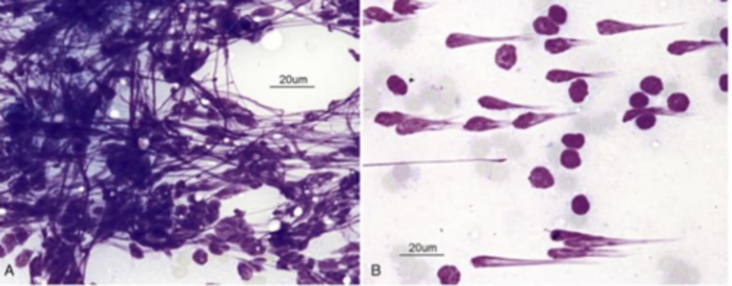 <p>What's wrong with this sample?</p>