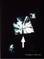 <p>What is this?</p>