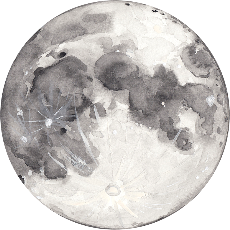 <p>What are the phases of the moon?</p>