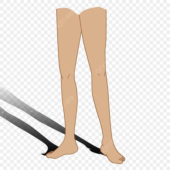 <p><strong>Leg</strong></p><p></p><p></p><p></p><p></p><p><span data-name="check_mark_button" data-type="emoji">✅</span>PROPER<span data-name="check_mark_button" data-type="emoji">✅</span></p>