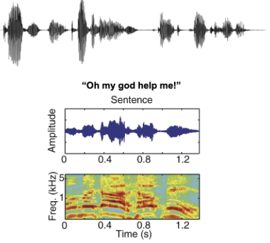 <ul><li><p>raw speech signal and speech spectrogram during the sentence </p></li><li><p>very rhythmic (energy fluctuations) </p></li></ul><p></p>