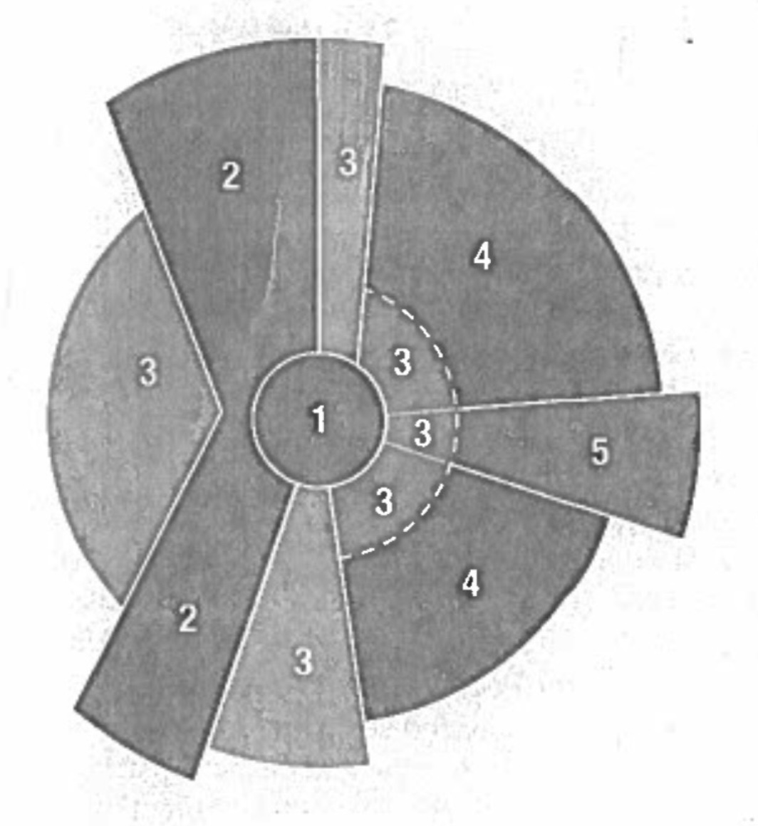 <p>City Model Name</p>