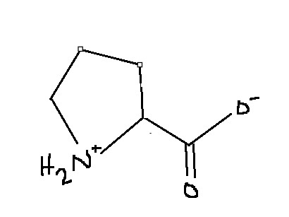 <p>Which amino acid is this?</p>