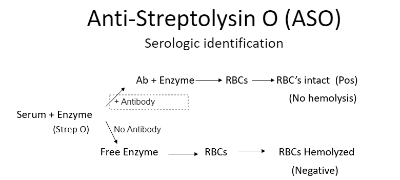 <p>neutralization tube test: v time consuming</p><p>latex agglutn test: rapid, false pos/neg are common</p><p>nephelometry: measures light scattered from Ab-Ag</p>