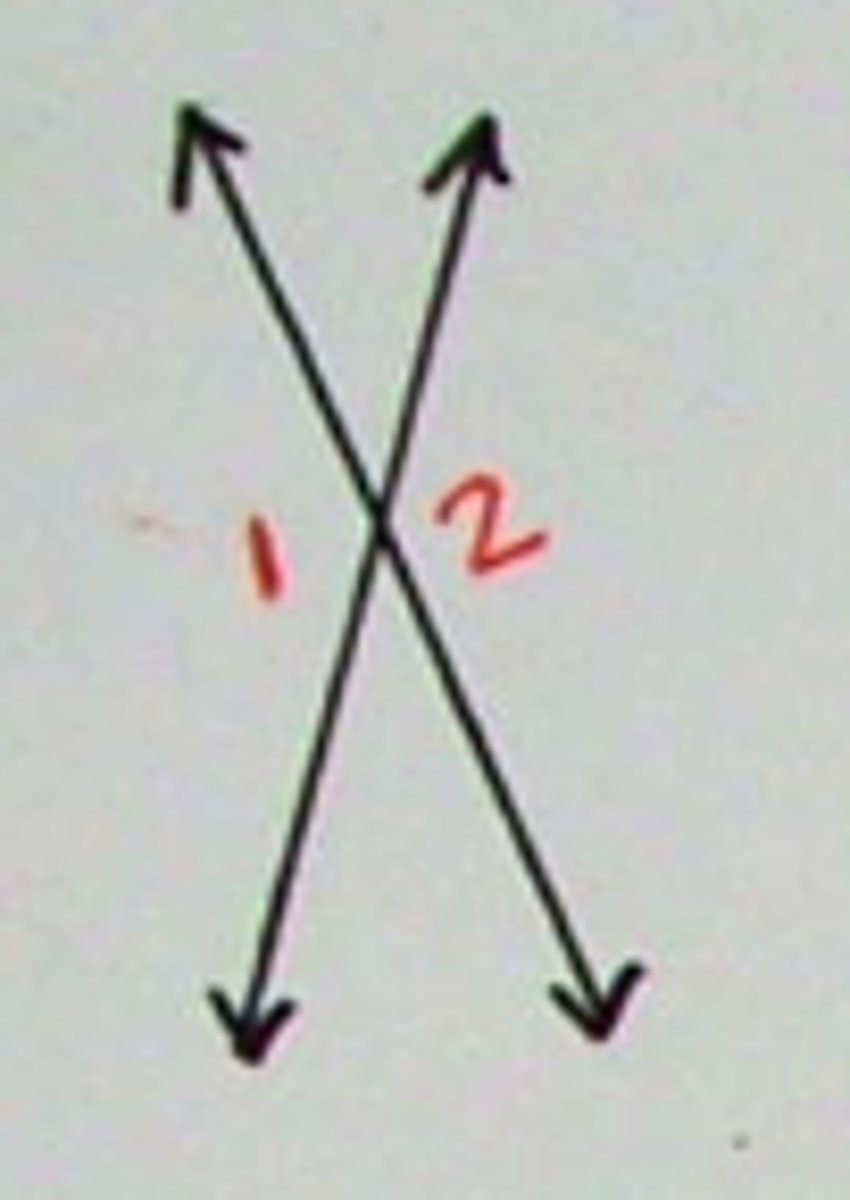 <p>two nonadjacent angles formed by two intersecting lines</p>