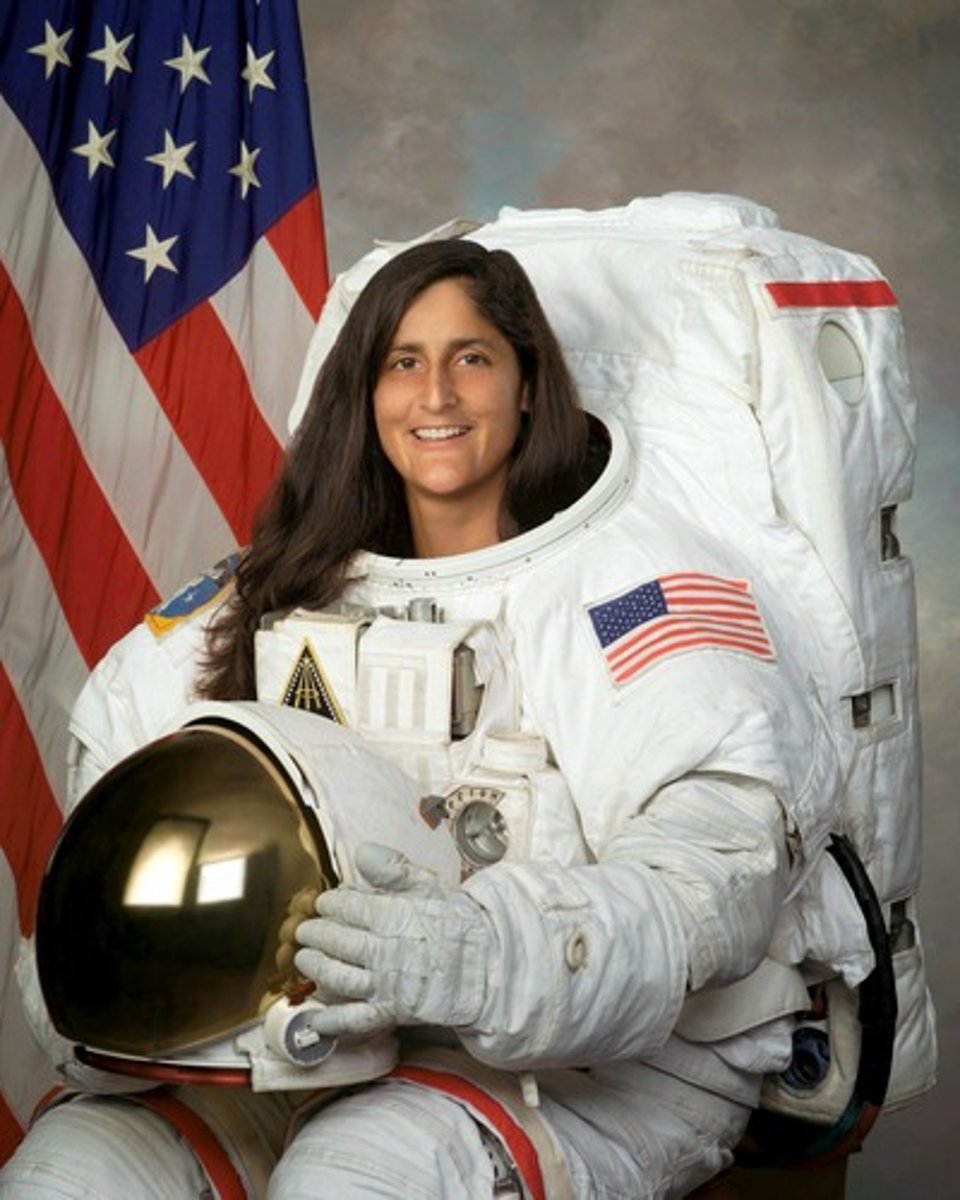 <p>astronaut (f)</p>