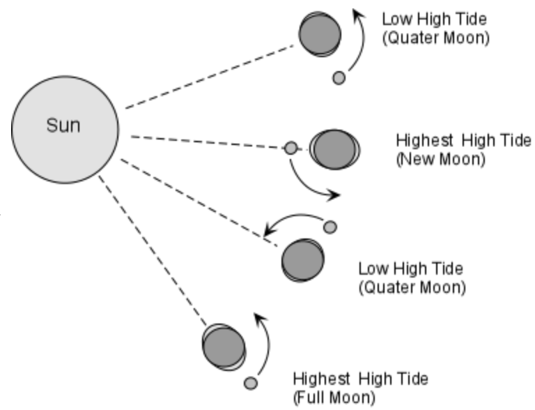 <p>usually, how many high tides and low tides each day? </p>