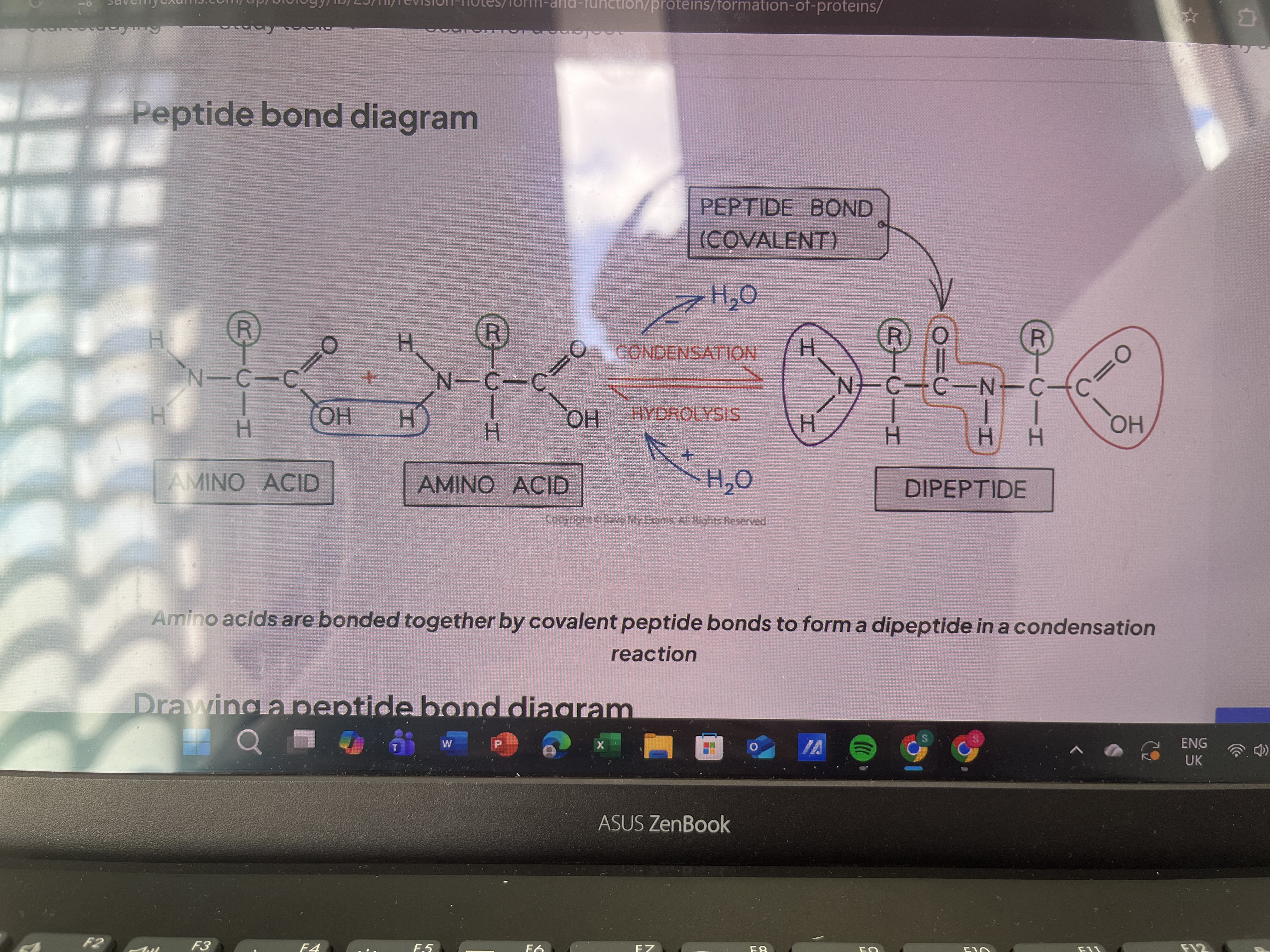 knowt flashcard image