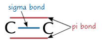 <p>sigma and pi bond</p>