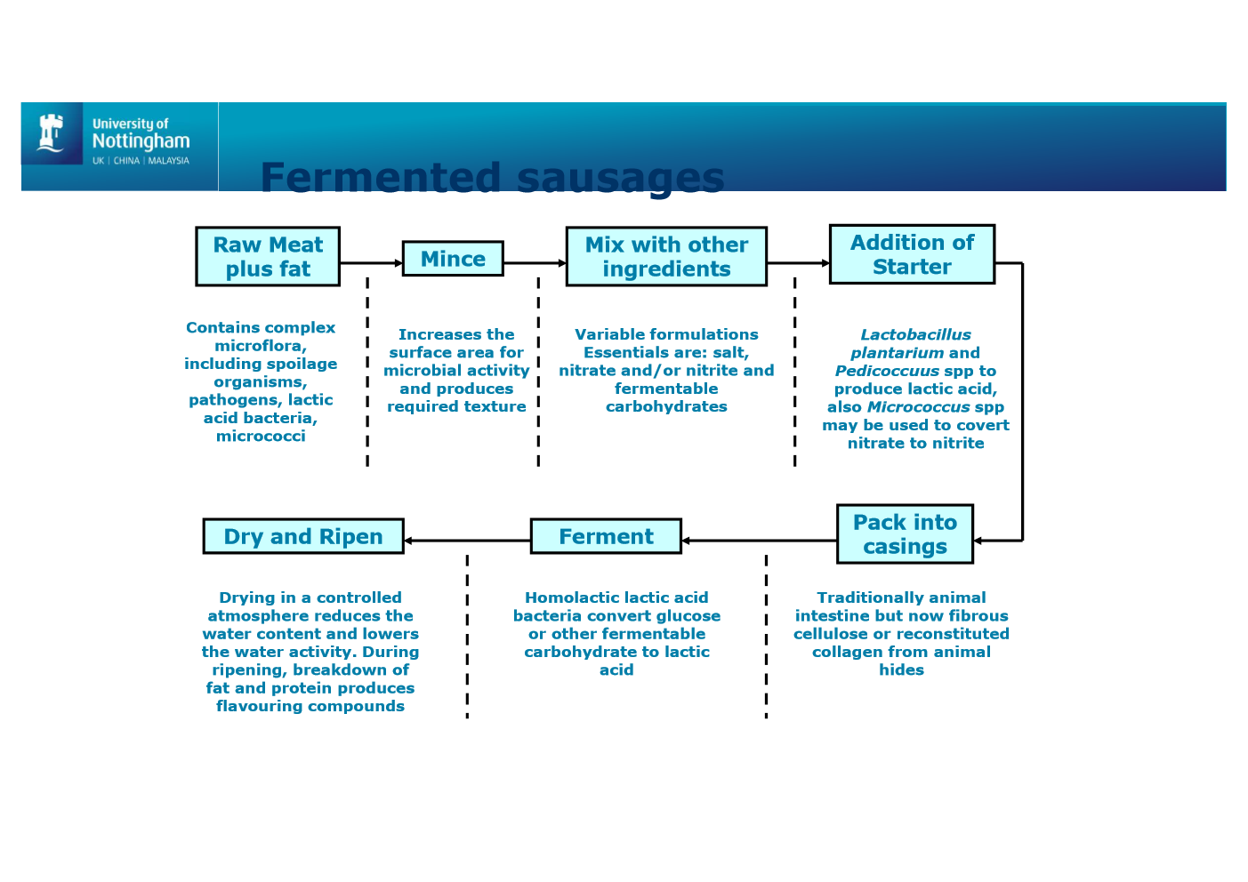 <p>raw meat/fat -> mince -> mix ingredients (salt/nitrate/carbs) -> add starter -> pack into casings -> ferment -> dry and ripen</p>