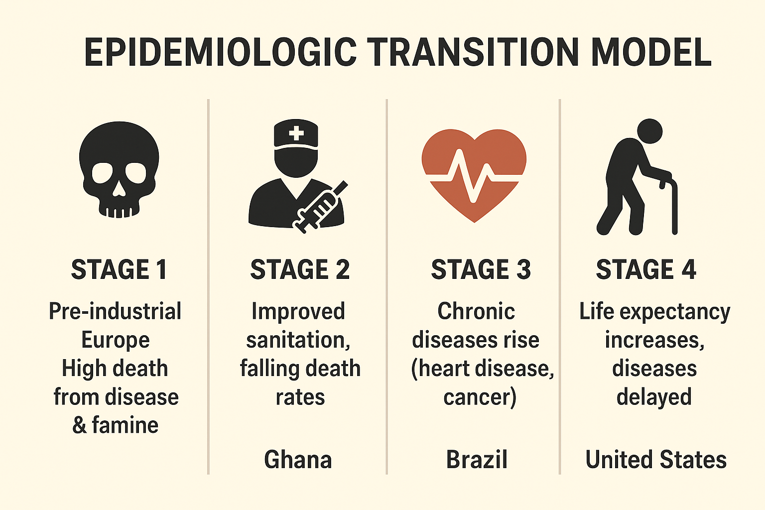 <p>Epidemiological Transition Theory</p>