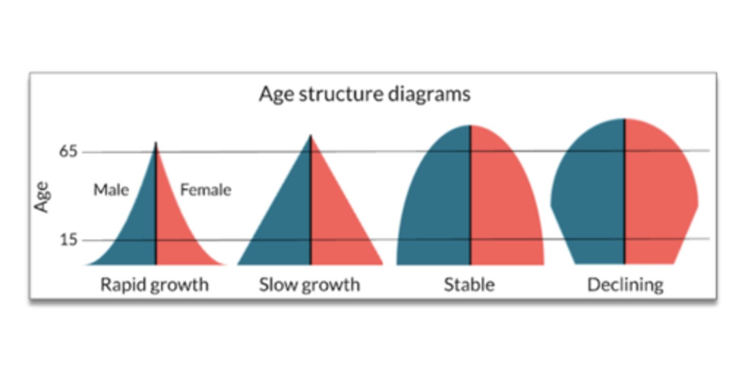 <p>Rapid growth, slow growth, stable, declining</p>