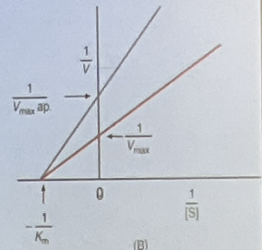<p></p>