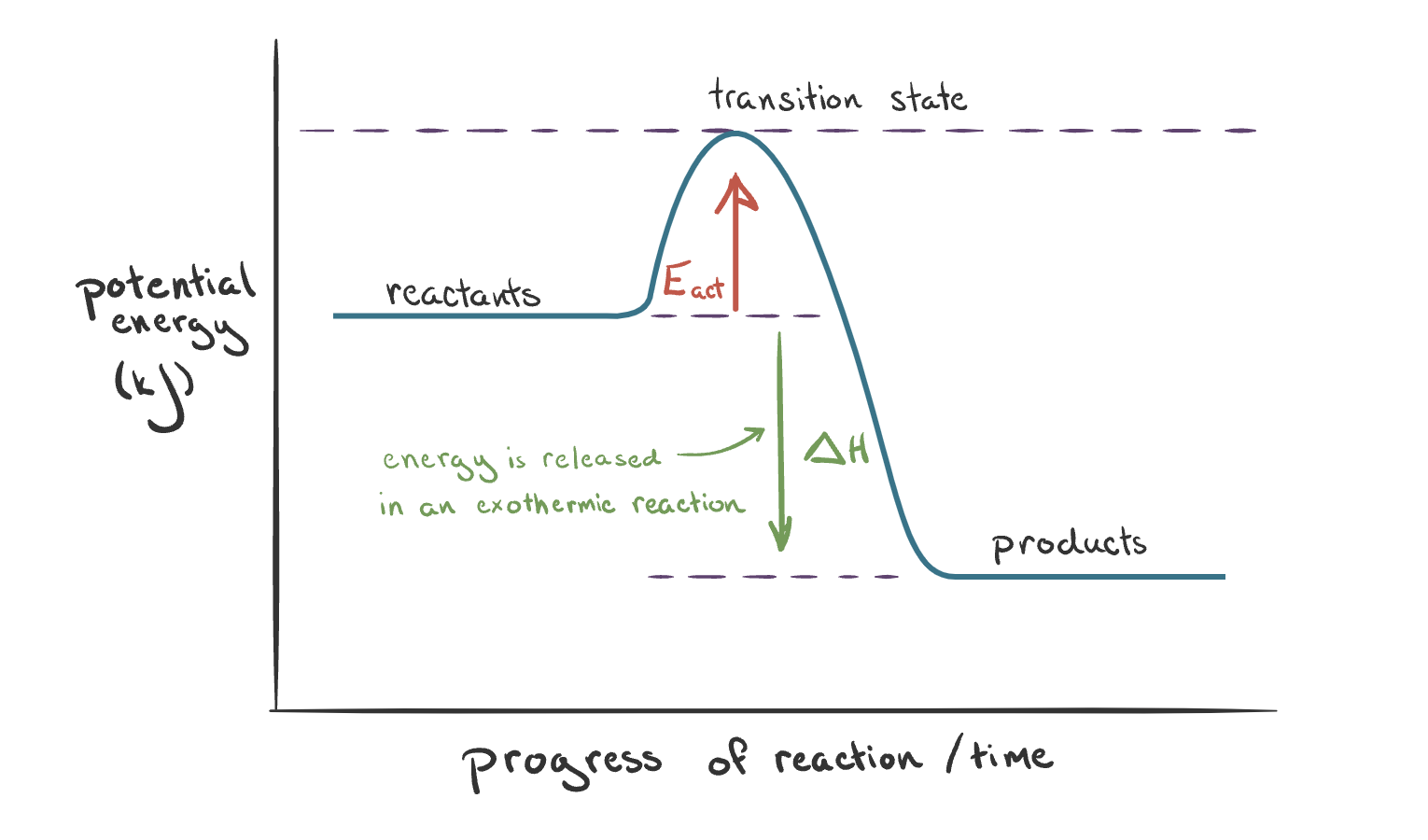 <ul><li><p>Energy released to surroundings:</p><ul><li><p>The enthalpy of reactants &gt; products.</p></li><li><p>∆H is negative (arrow points downwards).</p></li></ul></li></ul><p></p>