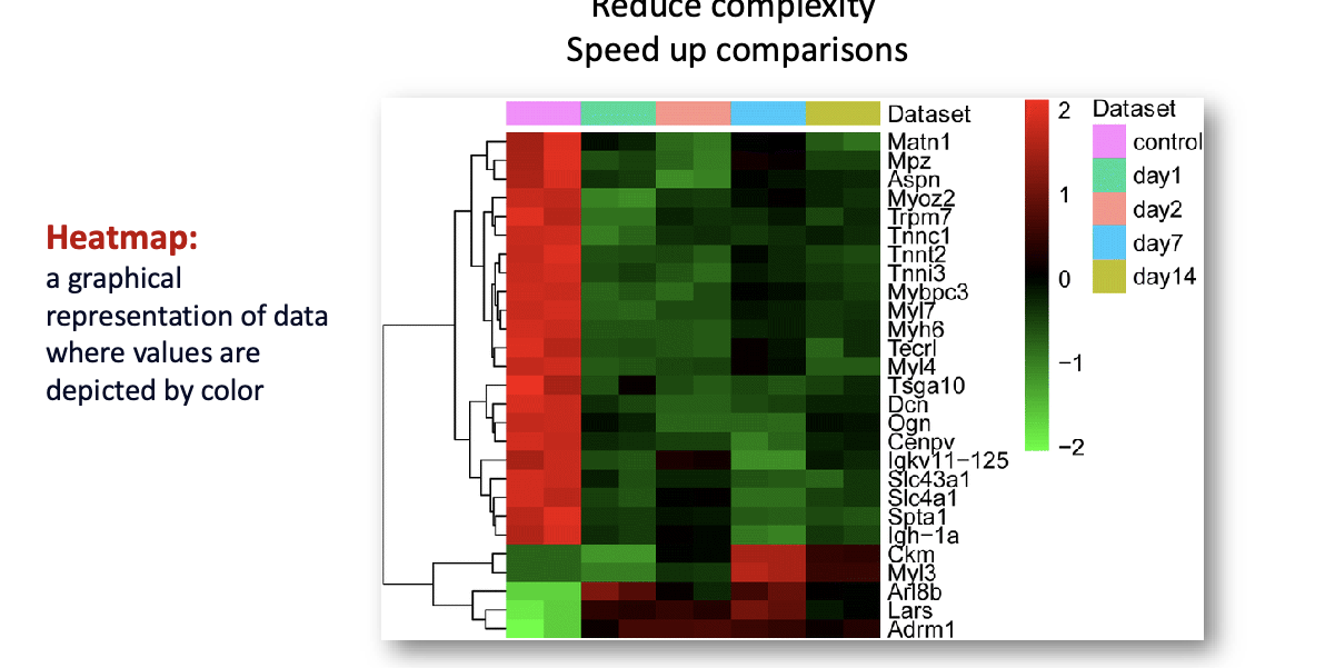 <ul><li><p>reduce complexity</p></li><li><p>speed up comparisons</p></li><li><p>heatmap = graphical representation of data where values are depicted by color</p></li><li><p>clustering = task of classifying N objects (proteins) into k groups (clusters) in such a way that the objects within a group are similar to each other but the groups are different from each other</p><ul><li><p>clustering methods identify <u>similar and distinct</u> expression patterns</p></li></ul></li></ul><p></p>