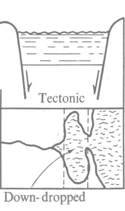 <p>down-dropped basin (due to plater tectonics)</p><p>located near ocean and seawater floods basin</p>