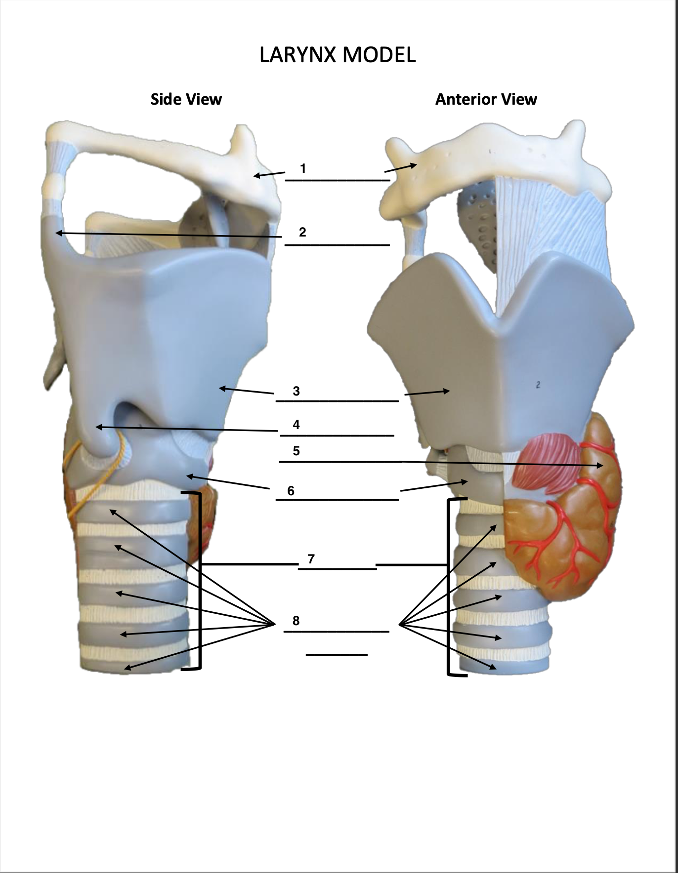 <p>1?</p>